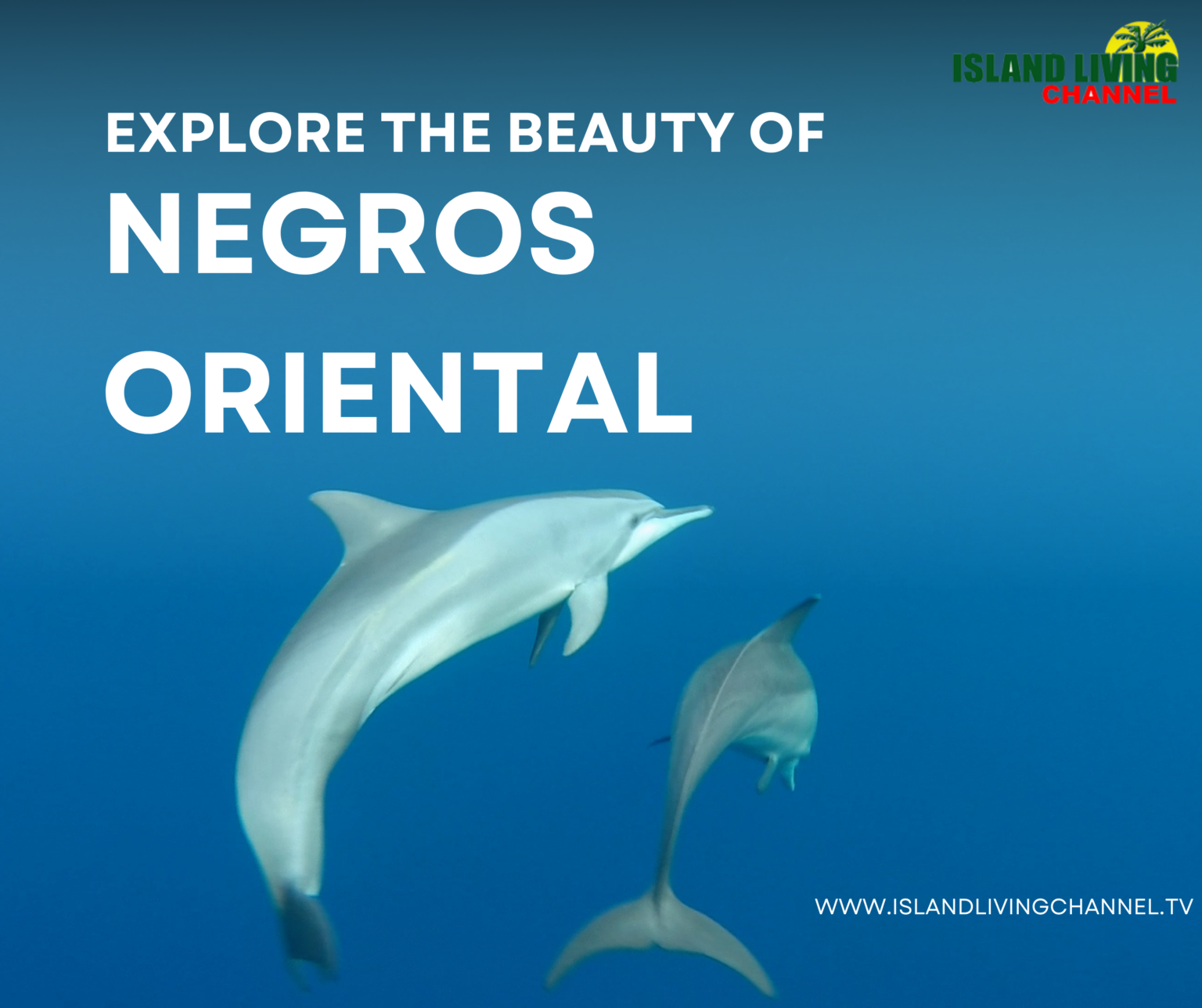 Your Travel guide to Negros Oriental
